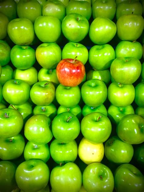 olive apple litchi egg|Select the odd one out. a Olive b Lichi c Egg d Apple .